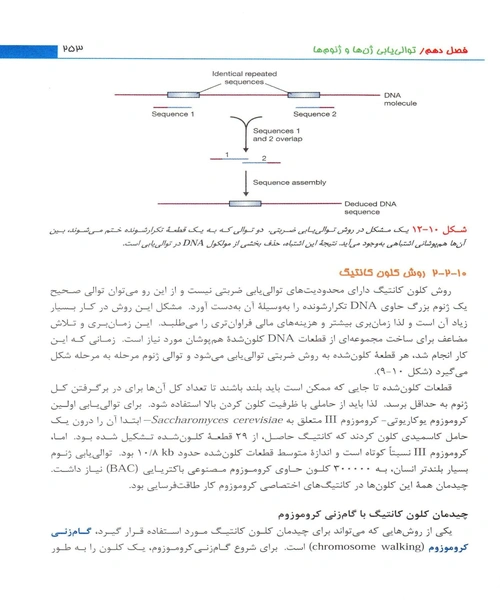 کلون سازی ژن ها و انالیز DNA - نمونه چهارم - جزیره کتاب های الکترونیکی